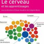 Le cerveau et les apprentissages