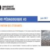 L’Écho pédagogique #3 : la motivation des étudiants