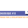 L&rsquo;Écho pédagogique #10 : l’AFEST, une approche pour le développement des compétences