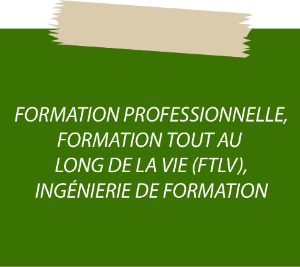Veille formation professionnelle et formation tout au long de la vie